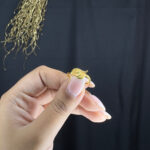 LADIES RING - Image 2