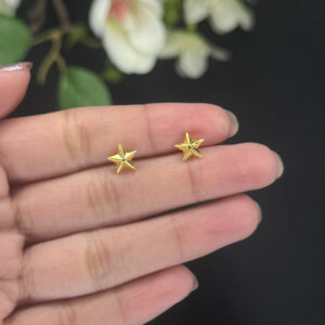 EARRING ( 9KT GOLD)