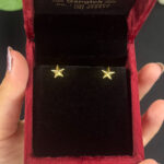 EARRING ( 9KT GOLD)