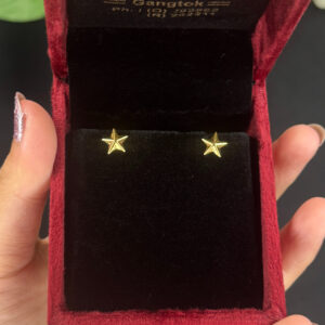 EARRING ( 9KT GOLD)
