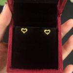 EARRING ( 9KT GOLD)