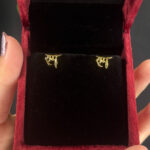 EARRING ( 9KT GOLD)