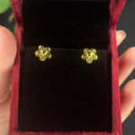 EARRING ( 9KT GOLD)