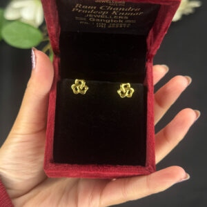 EARRING ( 9KT GOLD)