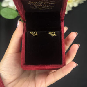 EARRING ( 9KT GOLD)