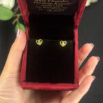 EARRING ( 9KT GOLD)