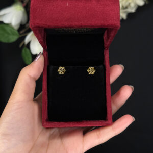 EARRING ( 9KT GOLD)
