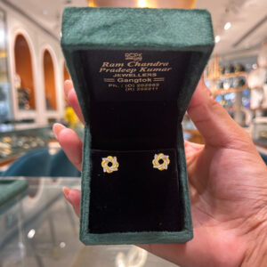 EARRING ( 9KT GOLD)
