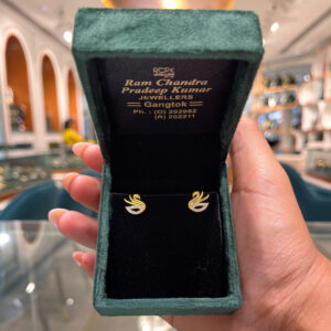 EARRING ( 9KT GOLD)
