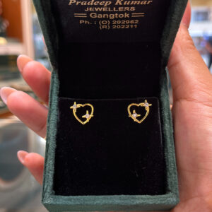 EARRING ( 9KT GOLD)