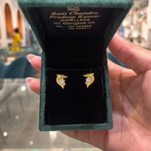 EARRING ( 9KT GOLD)