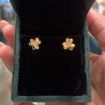 EARRING ( 9KT GOLD)