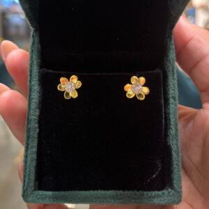 EARRING ( 9KT GOLD)