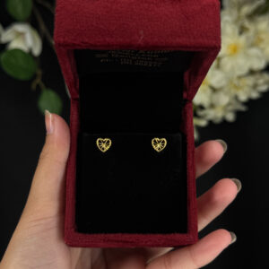 EARRING ( 9KT GOLD)