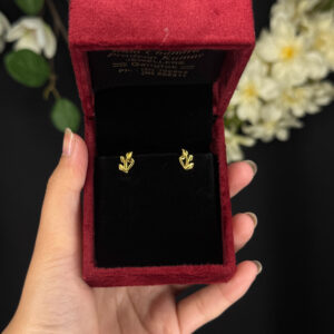 EARRING ( 9KT GOLD)