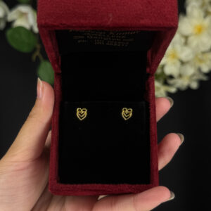 EARRING ( 9KT GOLD)