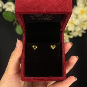 EARRING ( 9KT GOLD)