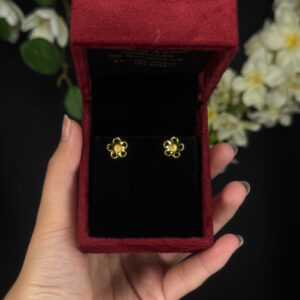 EARRING ( 9KT GOLD)