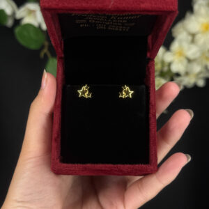 EARRING ( 9KT GOLD)