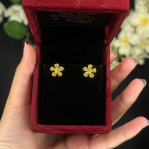 EARRING ( 9KT GOLD)