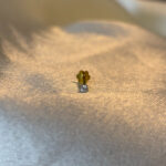 DIAMOND NOSE PIN ( 14KT GOLD) - Image 2