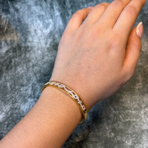 LADIES BANGLE ( 22KT GOLD)